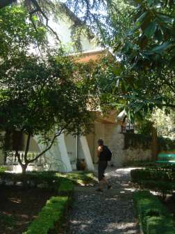 DSC07010.JPG